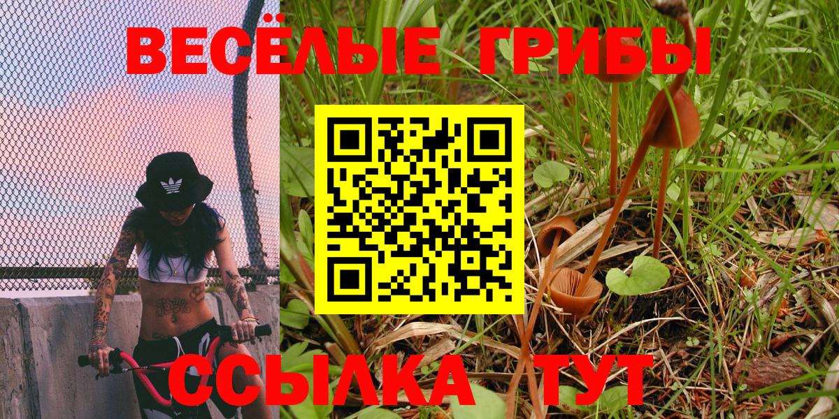 Галлюциногенные грибы GOLDEN TEACHER Солнечногорск