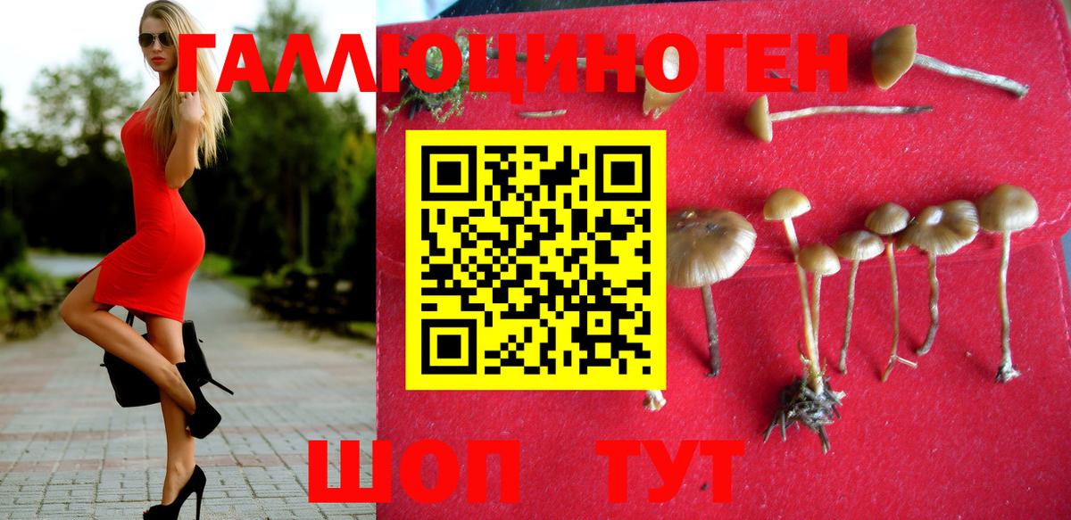 Галлюциногенные грибы прущие грибы  Вход с VPN  Солнечногорск 